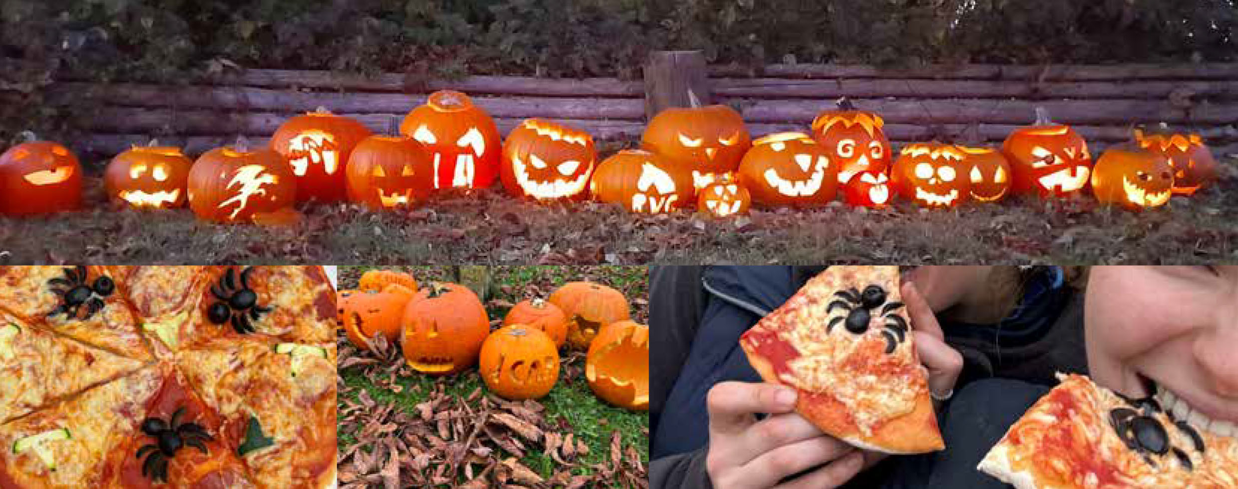 Mehr über den Artikel erfahren Halloween 26. Oktober 2025